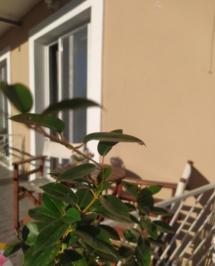 Apartmani Vico Herceg Novi Bagian luar foto