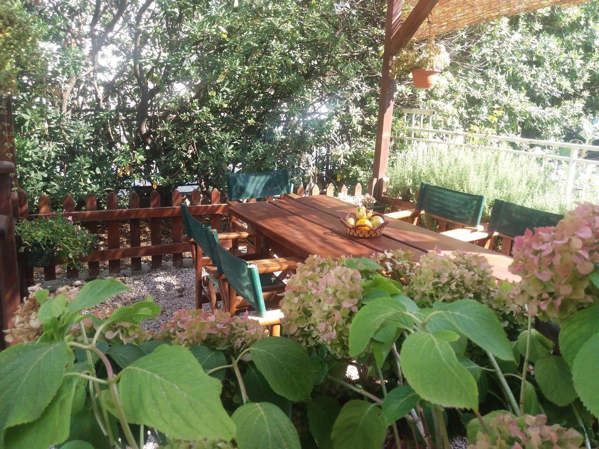 Apartmani Vico Herceg Novi Bagian luar foto
